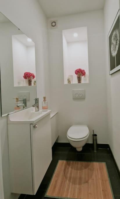 Le Cocon Du Midi - Appartement Cosy Brussels Luaran gambar